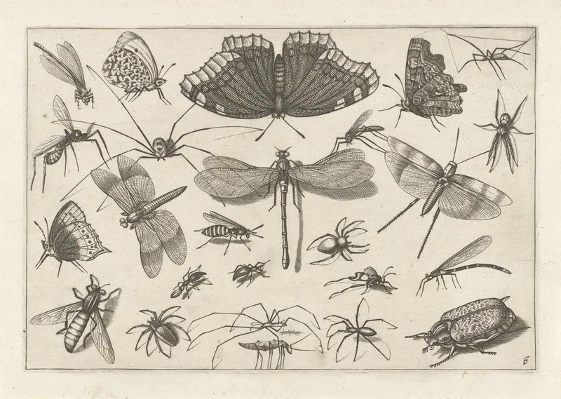 Diversae Insectarum Volatilium Pl 06 Wall Art by Jacob Hoefnagel - High-Resolution Digital Print