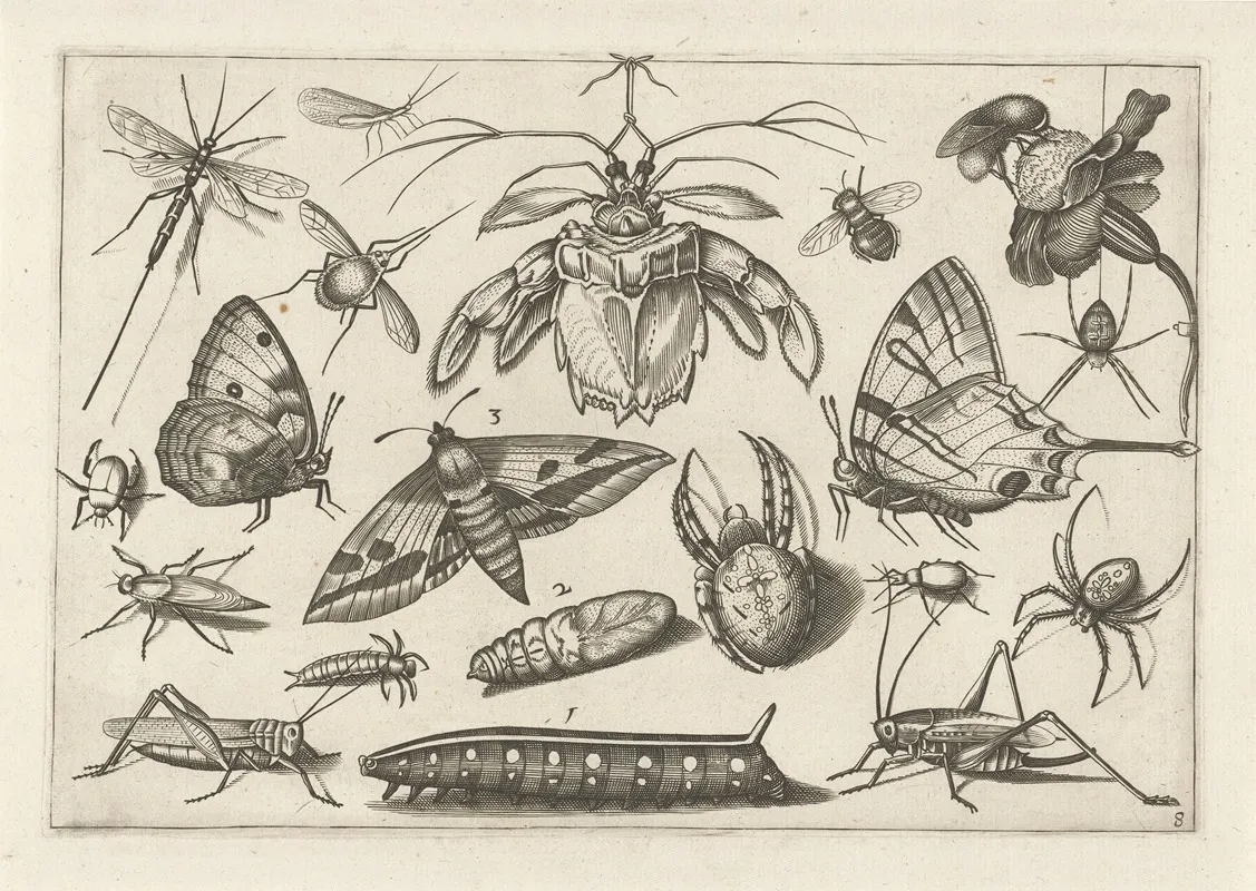 Diversae Insectarum Volatilium Pl 08 Wall Art by Jacob Hoefnagel - High-Resolution Digital Print