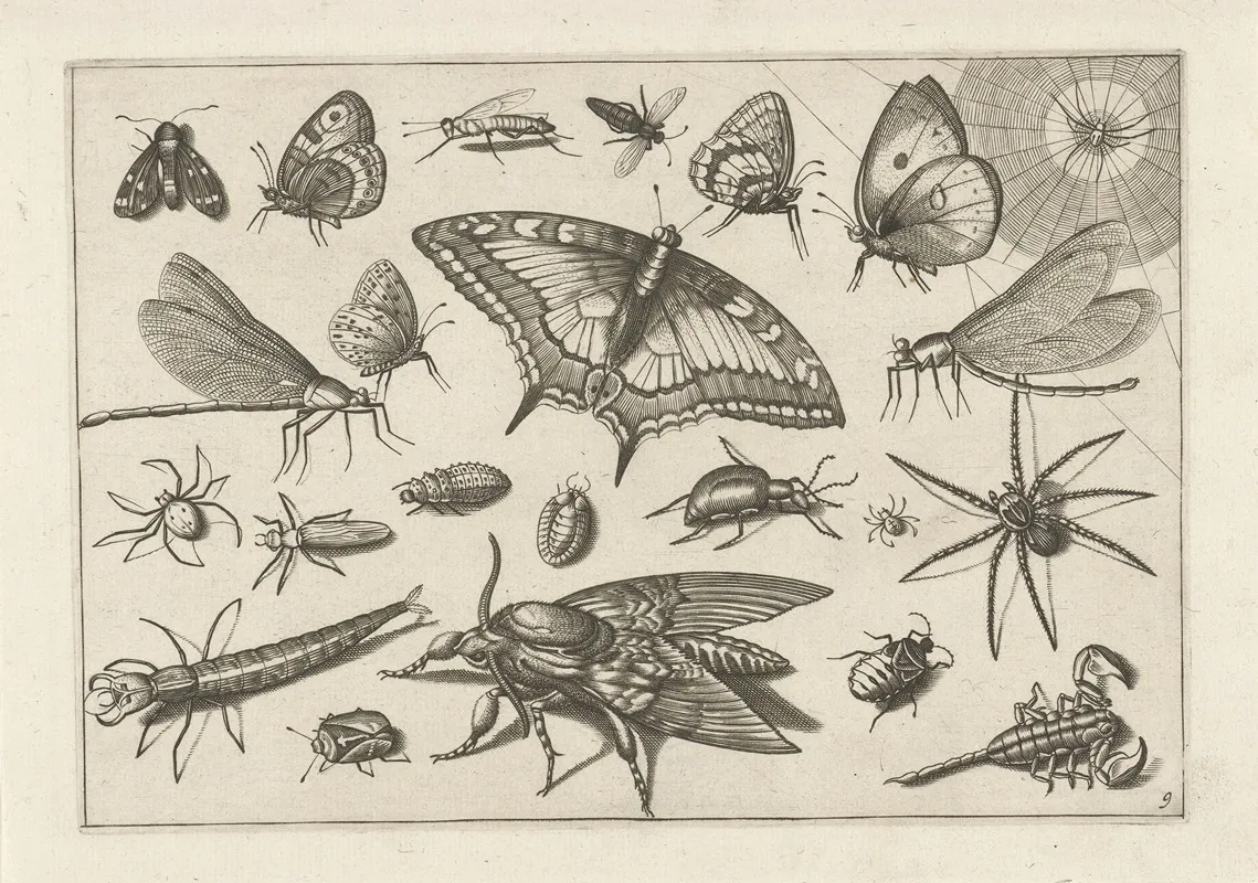 Diversae Insectarum Volatilium Pl 09 Wall Art by Jacob Hoefnagel - High-Resolution Digital Print
