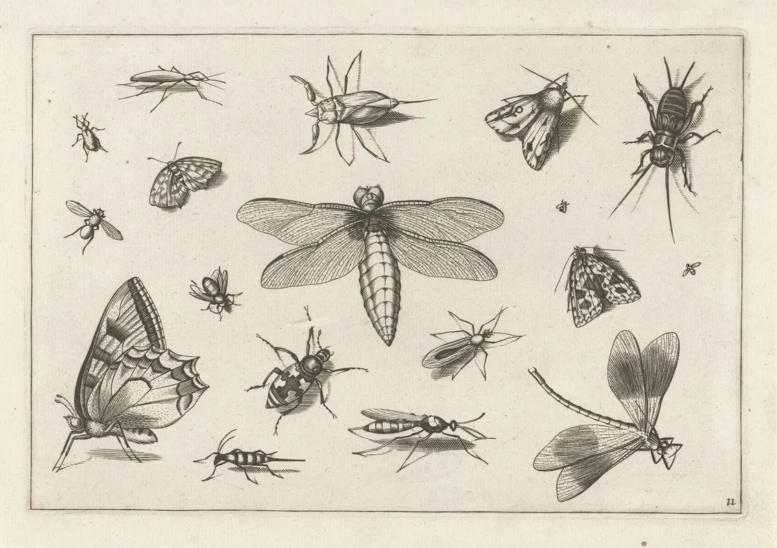 Diversae Insectarum Volatilium Pl 11 Wall Art by Jacob Hoefnagel - High-Resolution Digital Print