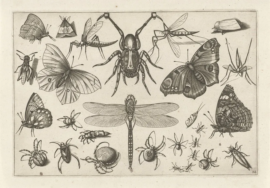 Diversae Insectarum Volatilium Pl 12 Wall Art by Jacob Hoefnagel - High-Resolution Digital Print