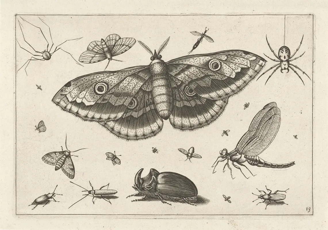 Diversae Insectarum Volatilium Pl 13 Wall Art by Jacob Hoefnagel - High-Resolution Digital Print