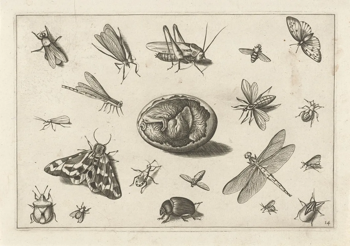 Diversae Insectarum Volatilium Pl 14 Wall Art by Jacob Hoefnagel - High-Resolution Digital Print