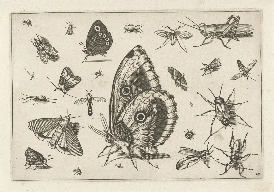Diversae Insectarum Volatilium Pl 15 Wall Art by Jacob Hoefnagel - High-Resolution Digital Print