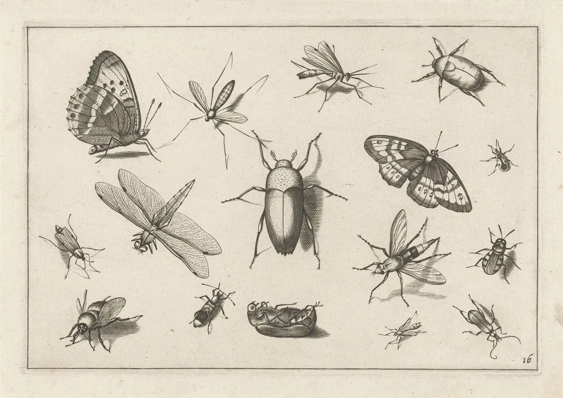 Diversae Insectarum Volatilium Pl 16 Wall Art by Jacob Hoefnagel - High-Resolution Digital Print