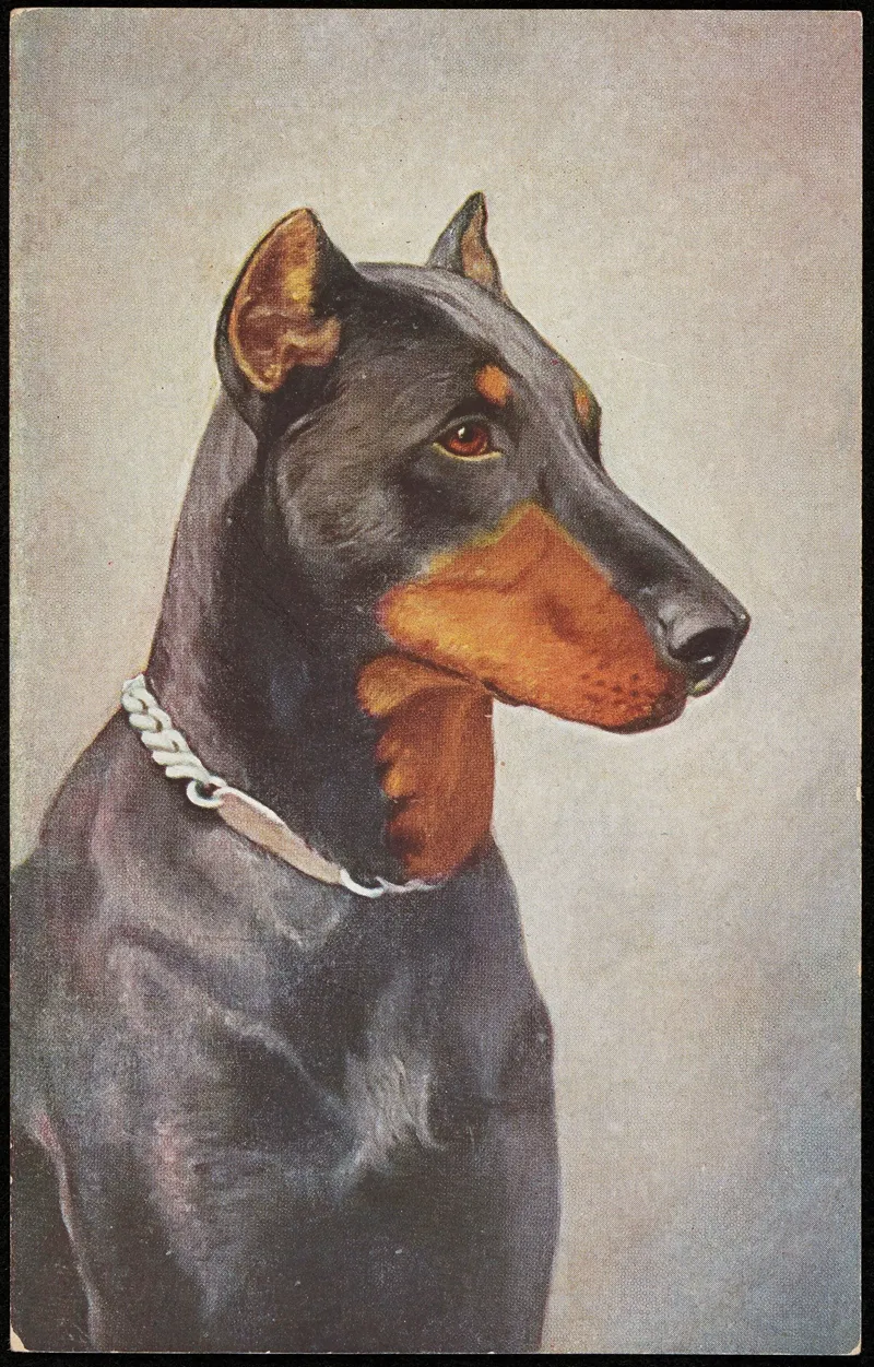 Doberman Wall Art by O.G.Z.-L - High-Resolution Digital Print