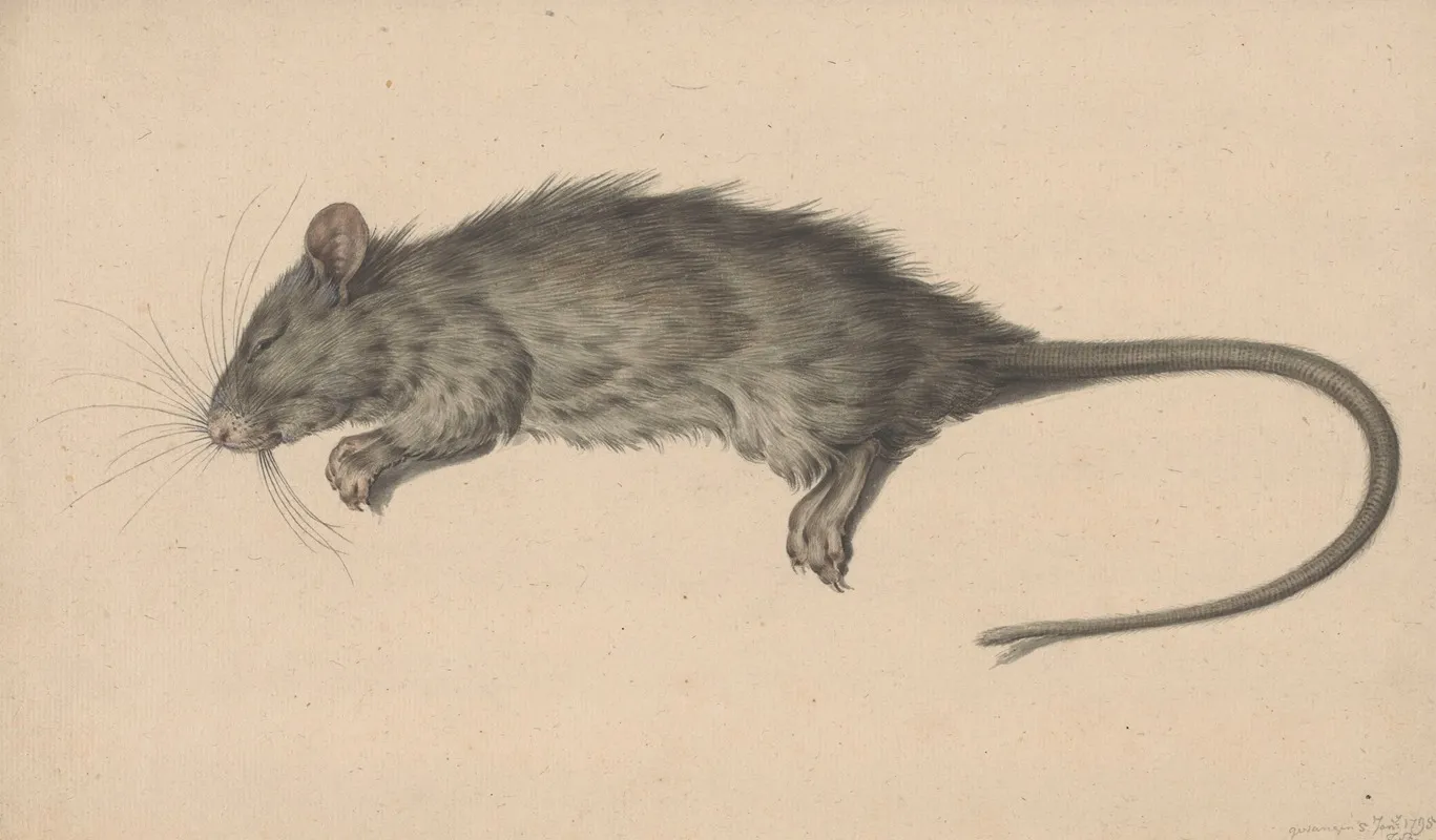 Dode Rat Wall Art by Jean Bernard - High-Resolution Digital Print