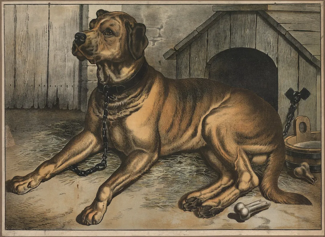 Dog 11 Wall Art by Emil Sachsse - High-Resolution Digital Print