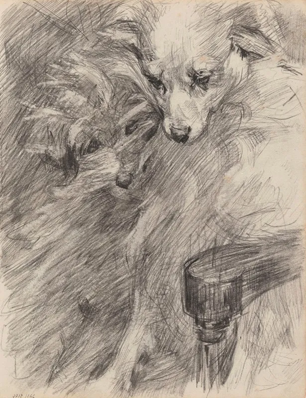 Dog 2