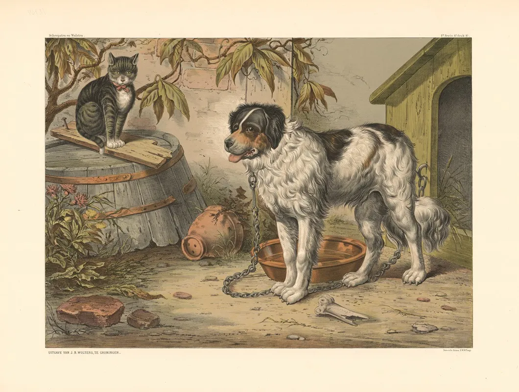 Dog And Cat 2