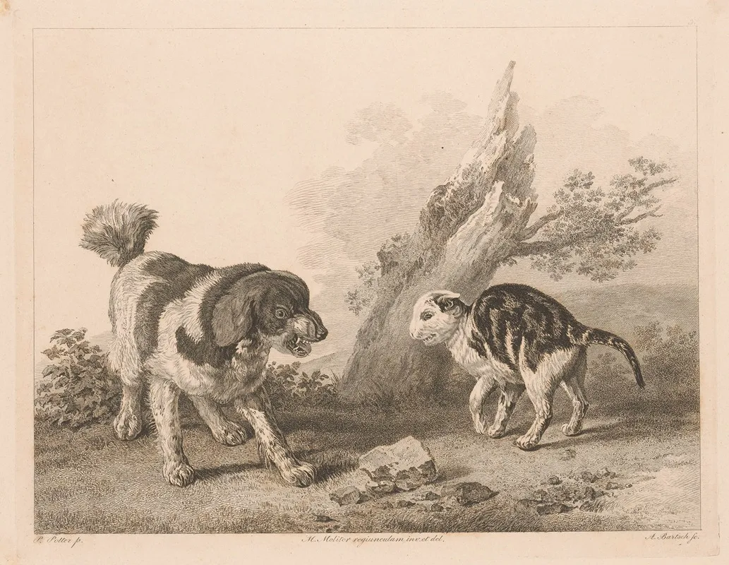Dog And Cat In Fighting Position Facing Each Other Wall Art by Adam von Bartsch - High-Resolution Digital Print