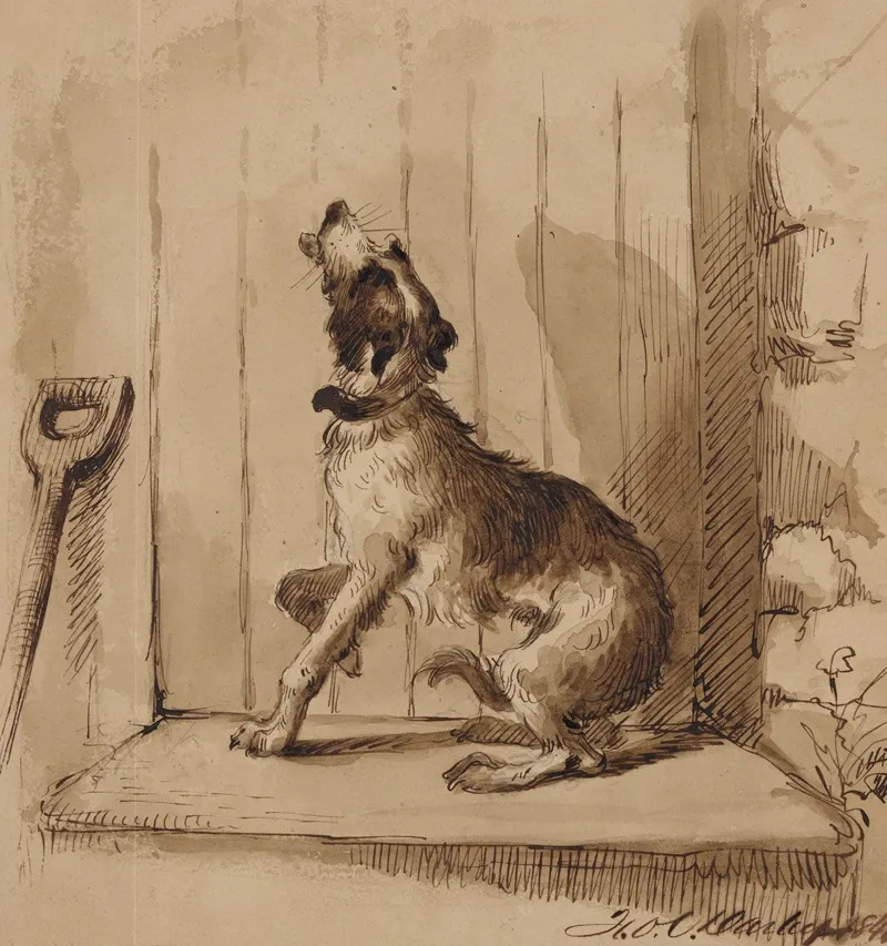 Dog Barking In Front Of Closed Door