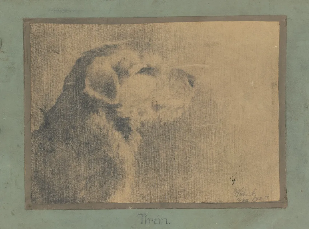 Dog Tiran