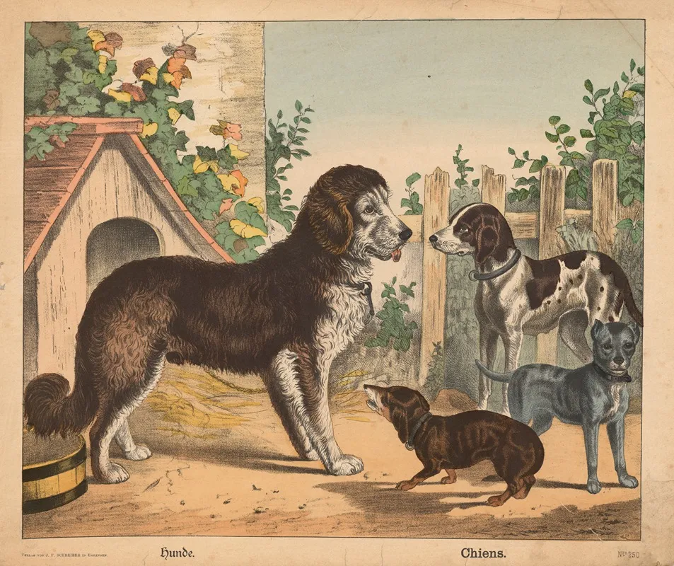 Dogs 11