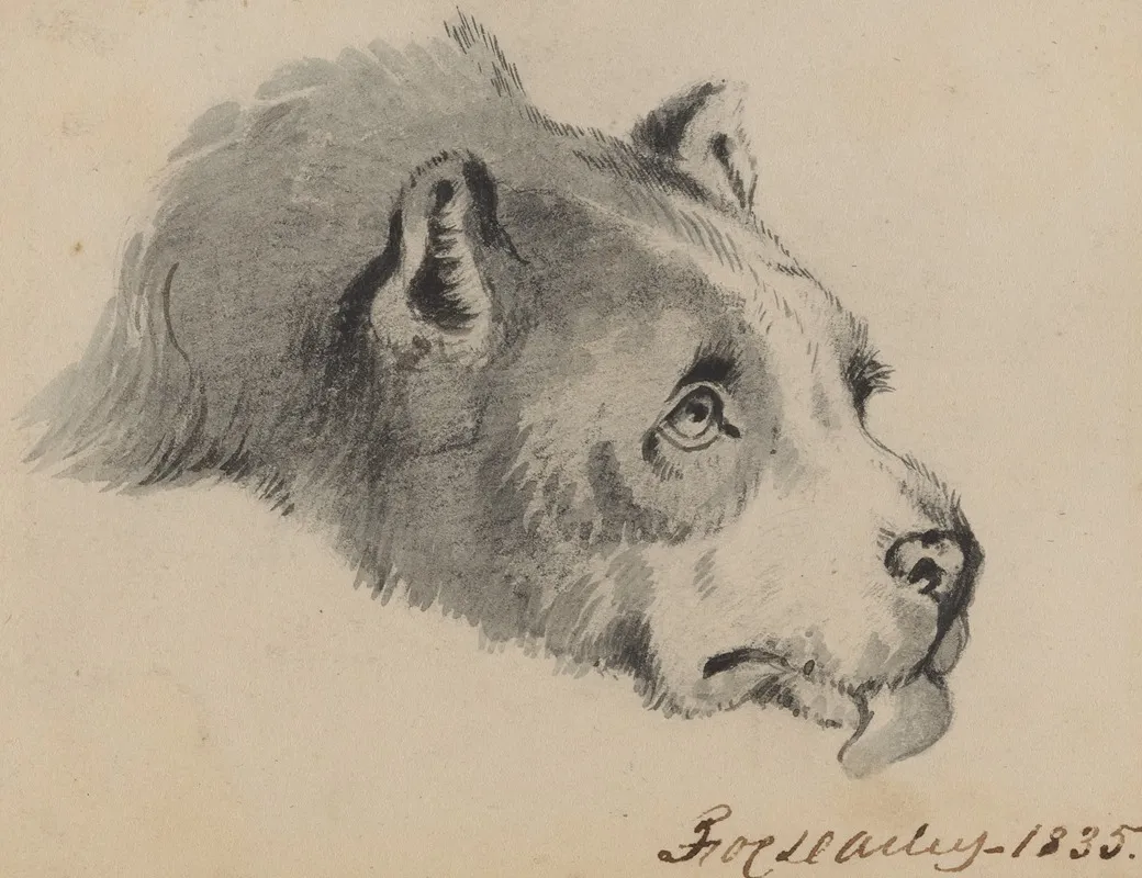 Dogs Head 3