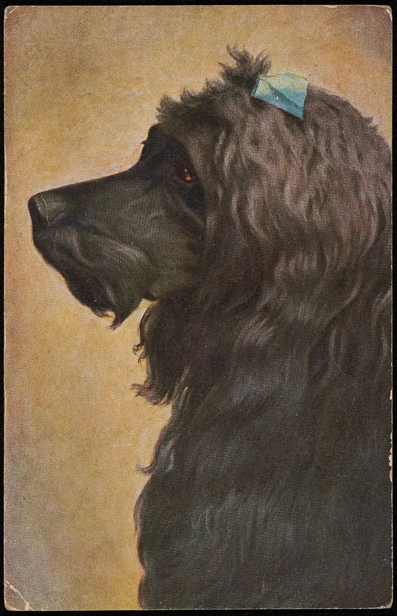 Dogs Head 4 Wall Art by O.G.Z.-L - High-Resolution Digital Print