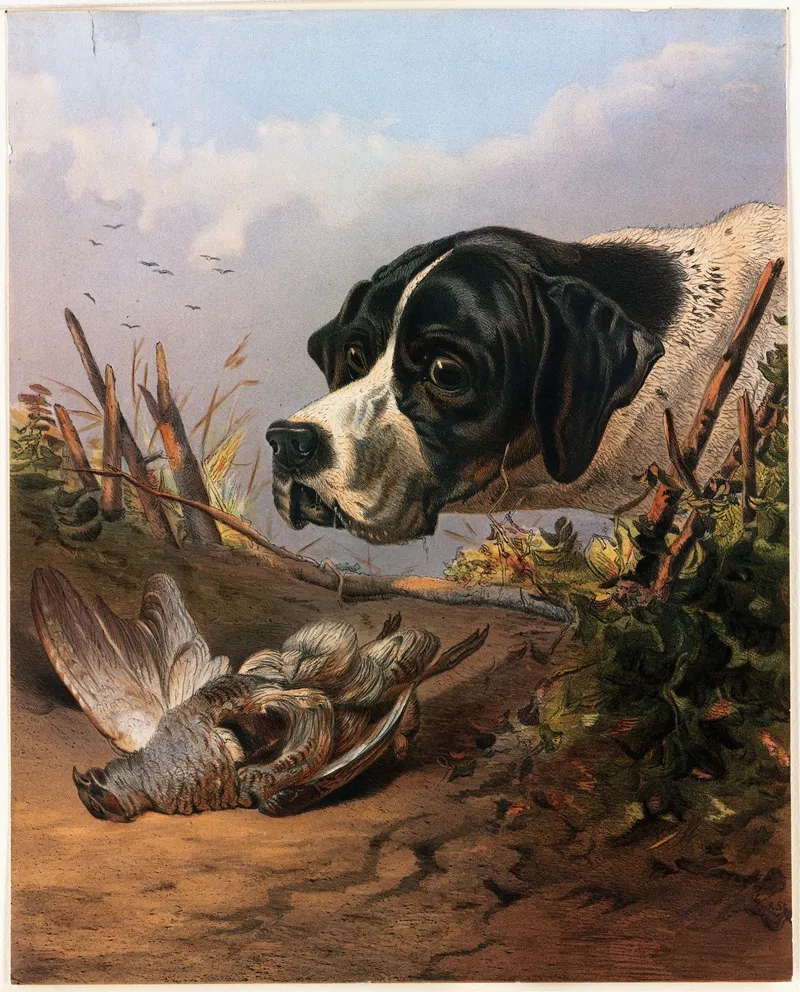 Dogs Head