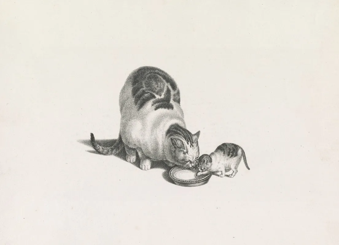 Domestic Cat And Kitten Drinking Milk From A Saucer Wall Art by Gottfried Mind - High-Resolution Digital Print