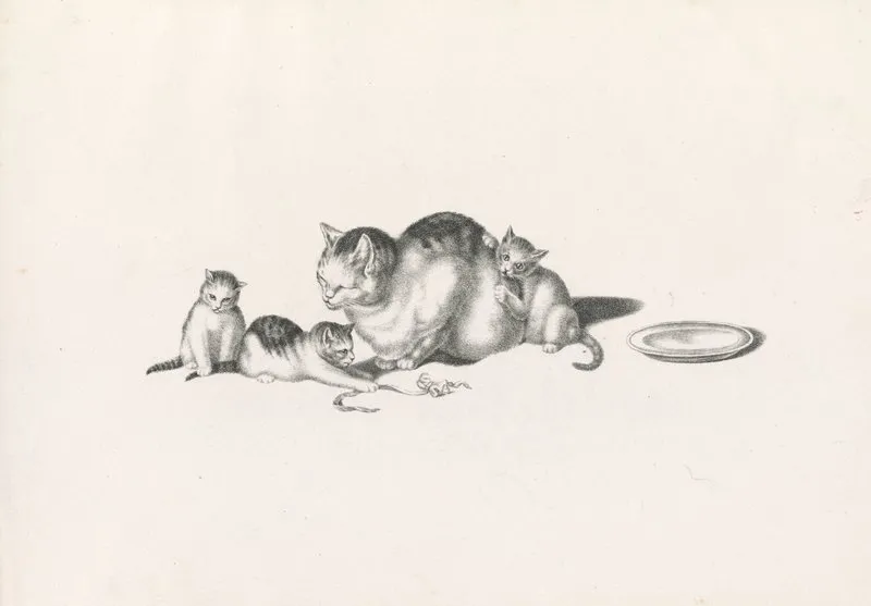 Domestic Cat Napping With Three Playful Kittens And A Saucer On The Right Wall Art by Gottfried Mind - High-Resolution Digital Print