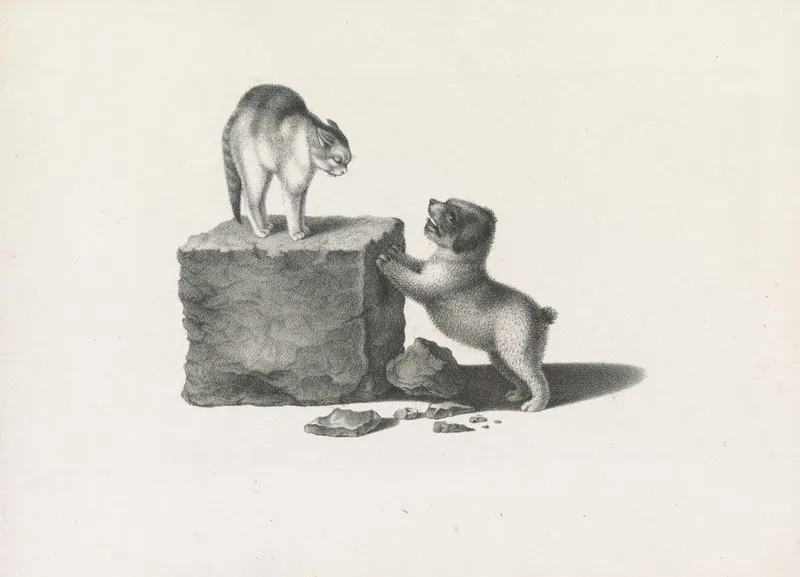 Domestic Cat Standing On A Block And A Puppy With Its Front Paws On The Block Wall Art by Gottfried Mind - High-Resolution Digital Print