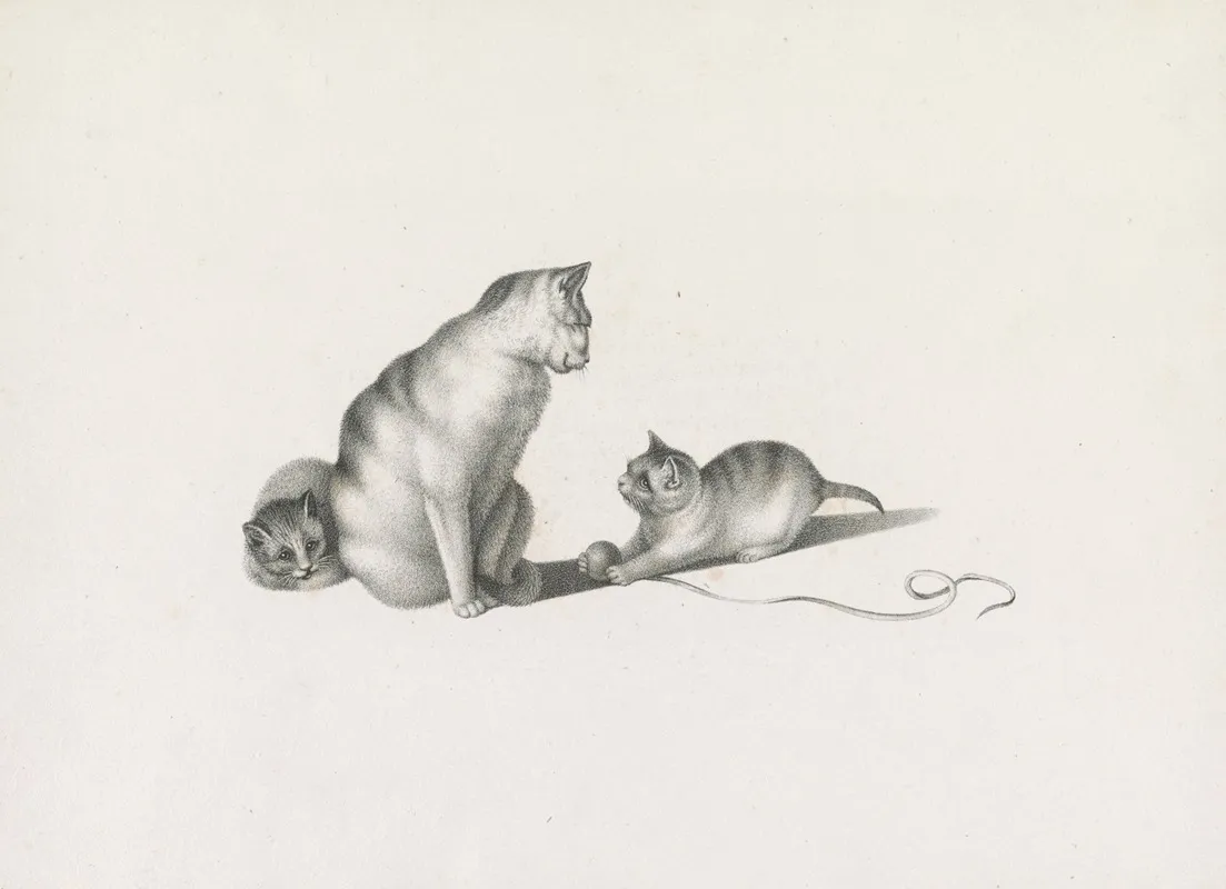 Domestic Cat With Two Kittens One Playing With A Ball Of String Wall Art by Gottfried Mind - High-Resolution Digital Print