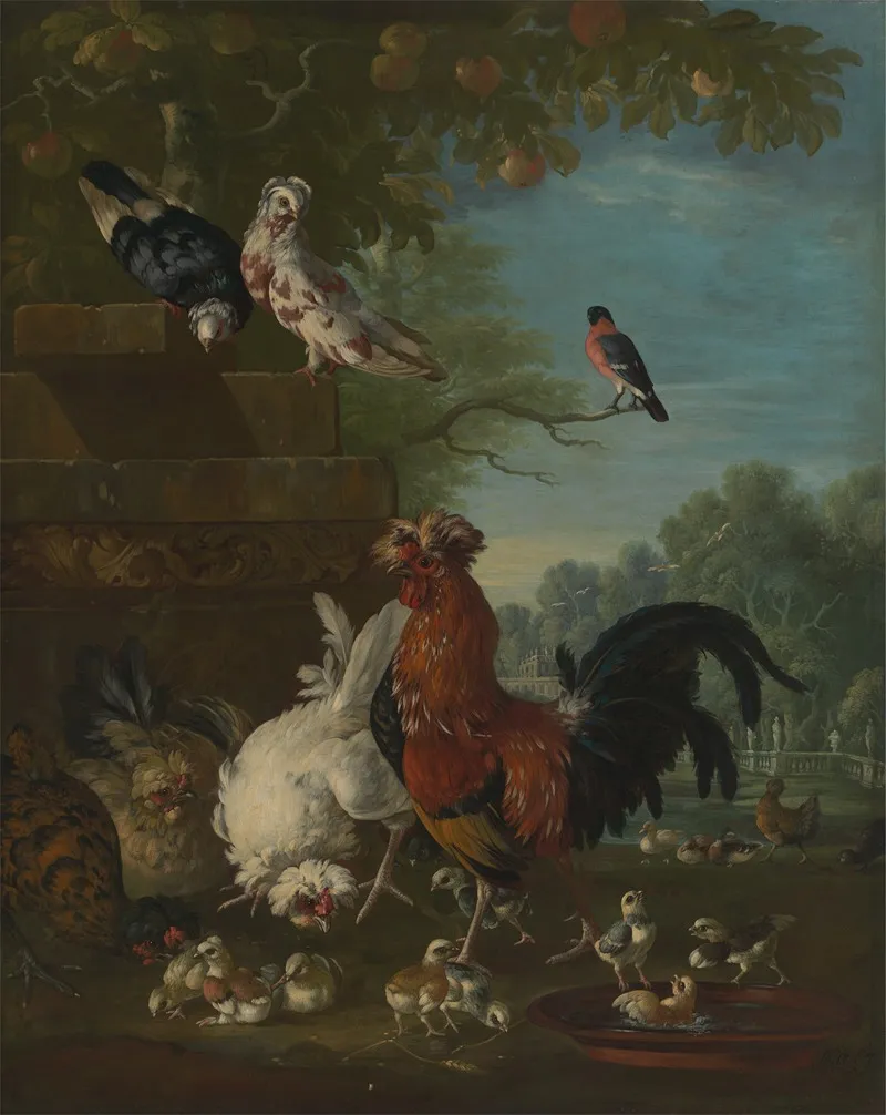 Domestic Cock Hens And Chicks In A Park