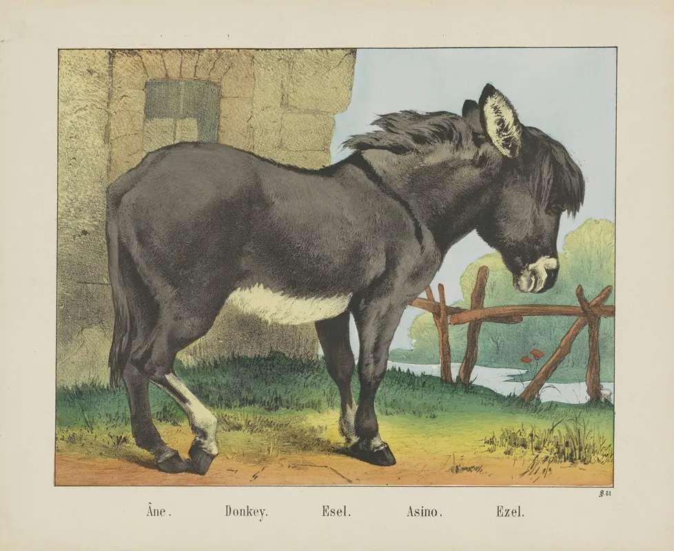 Donkey 5 Wall Art by Joseph Scholz - High-Resolution Digital Print