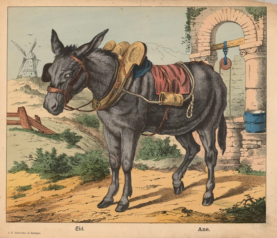 Donkey 9