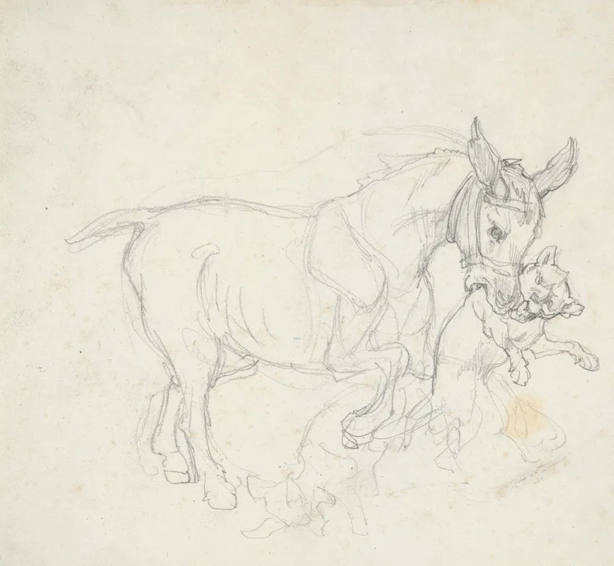 Donkey Holding Dog In Its Mouth
