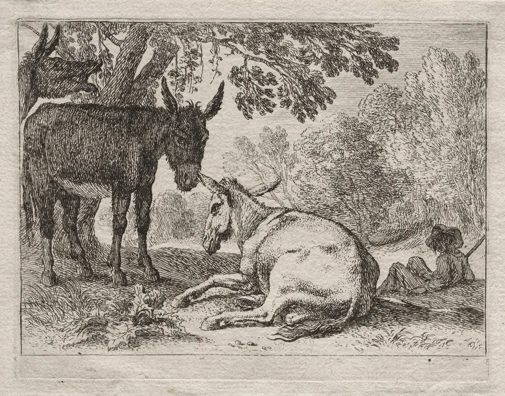 Donkeys 3