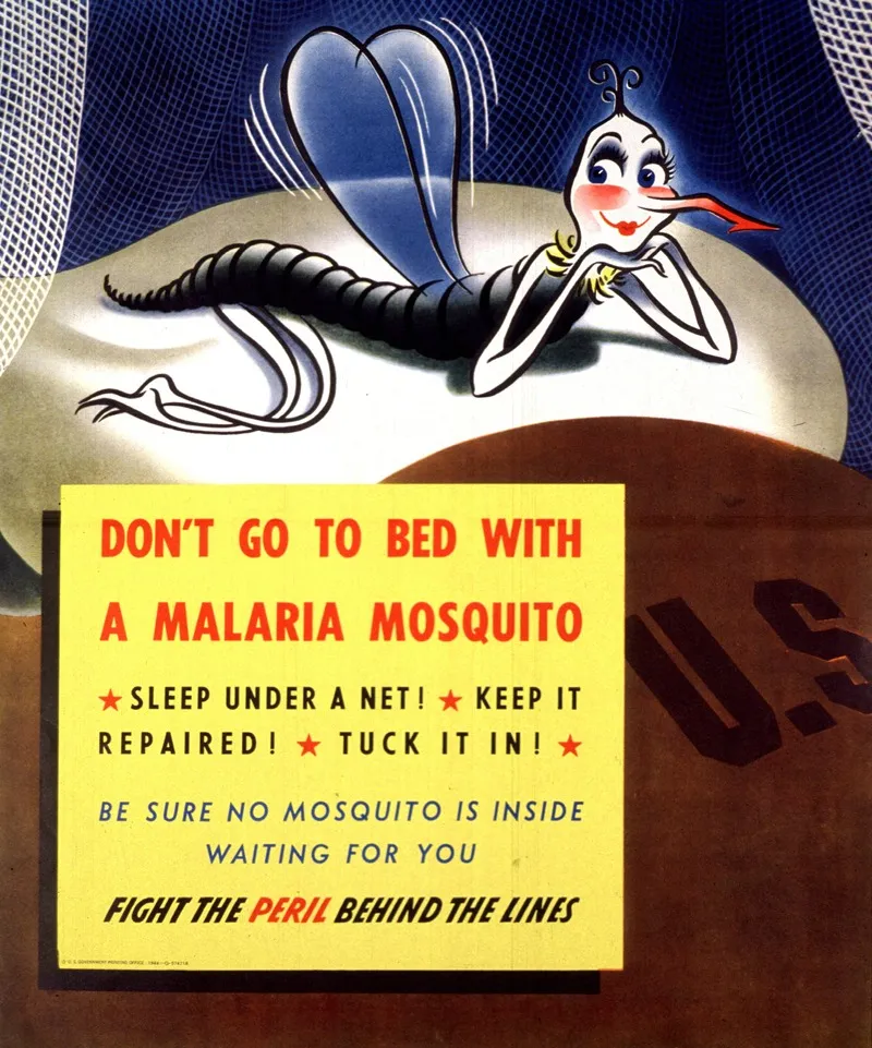 Dont Go To Bed With A Malaria Mosquito