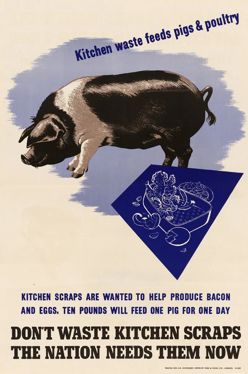 Dont Waste Kitchen Scraps The Nation Needs Them Now 2