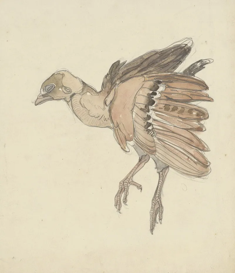 Dood Vogeltje 3