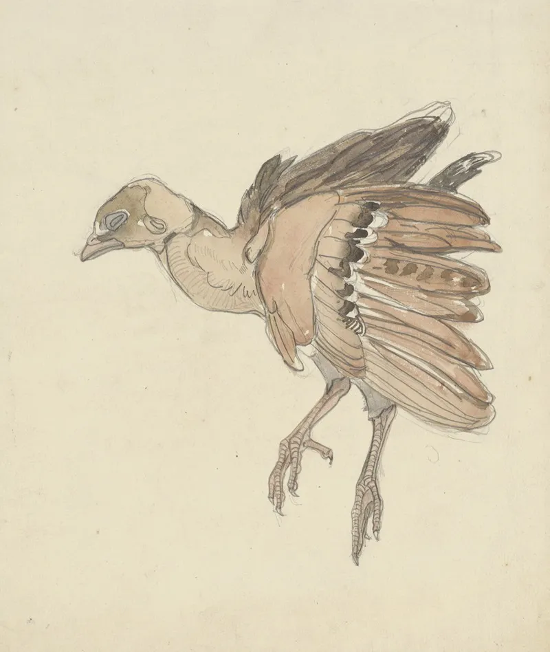 Dood Vogeltje