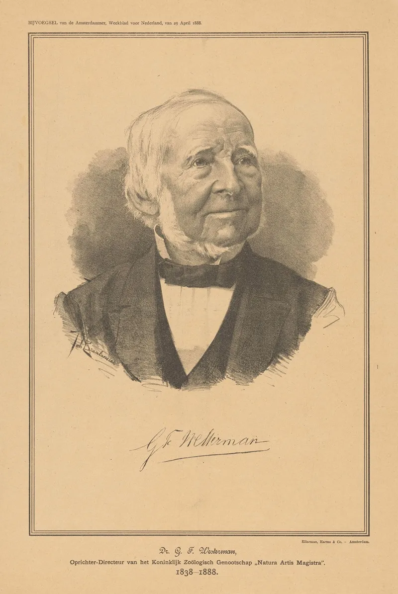 Dr G F Westerman