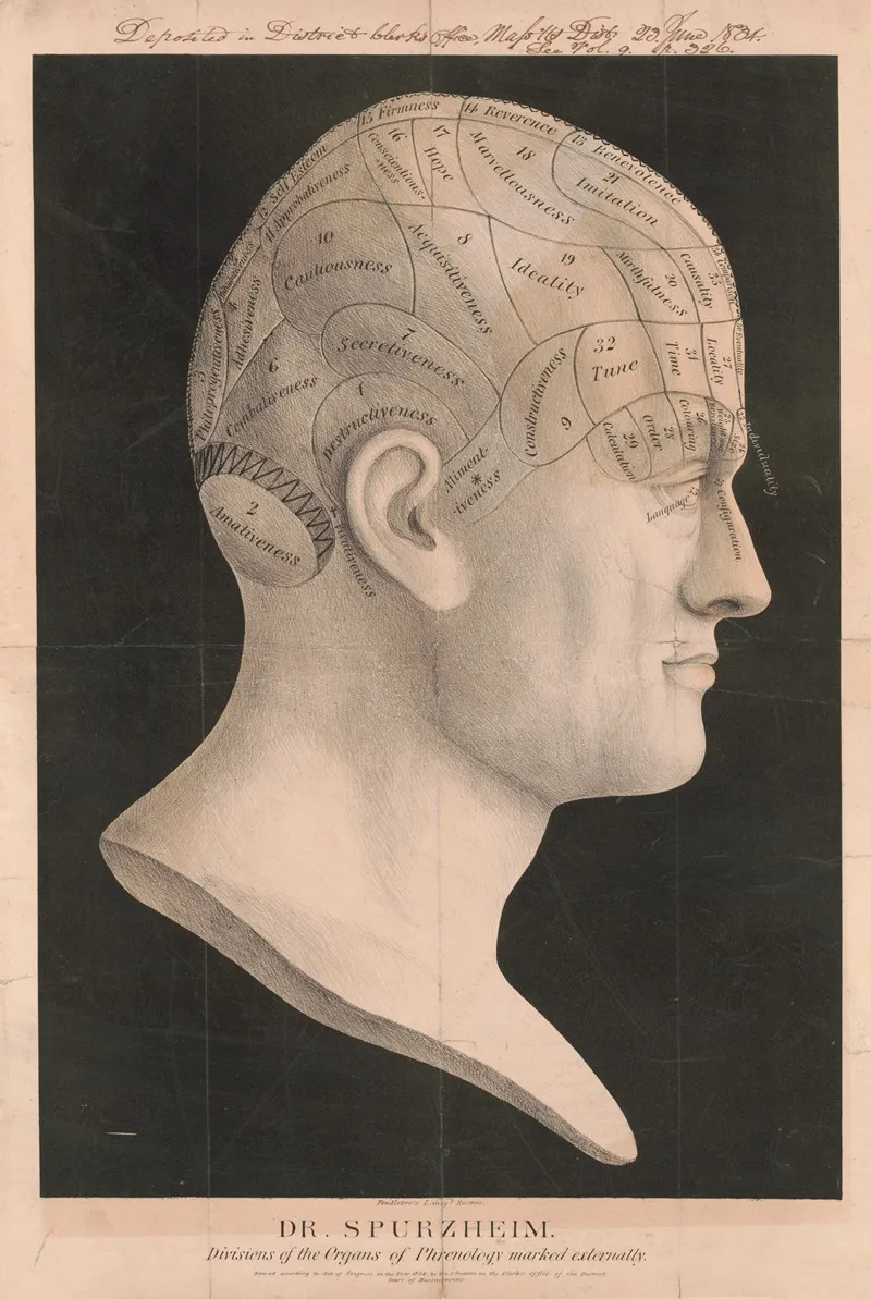 Dr Spurzheim Divisions Of The Organs Of Phrenology Marked Externally Wall Art by Pendleton's Lith. - High-Resolution Digital Print