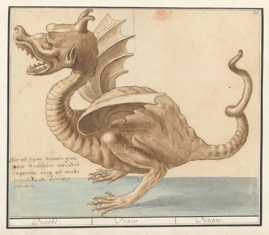 Draak Dracke Draco Dragon Wall Art by Anselmus Boëtius de Boodt - High-Resolution Digital Print
