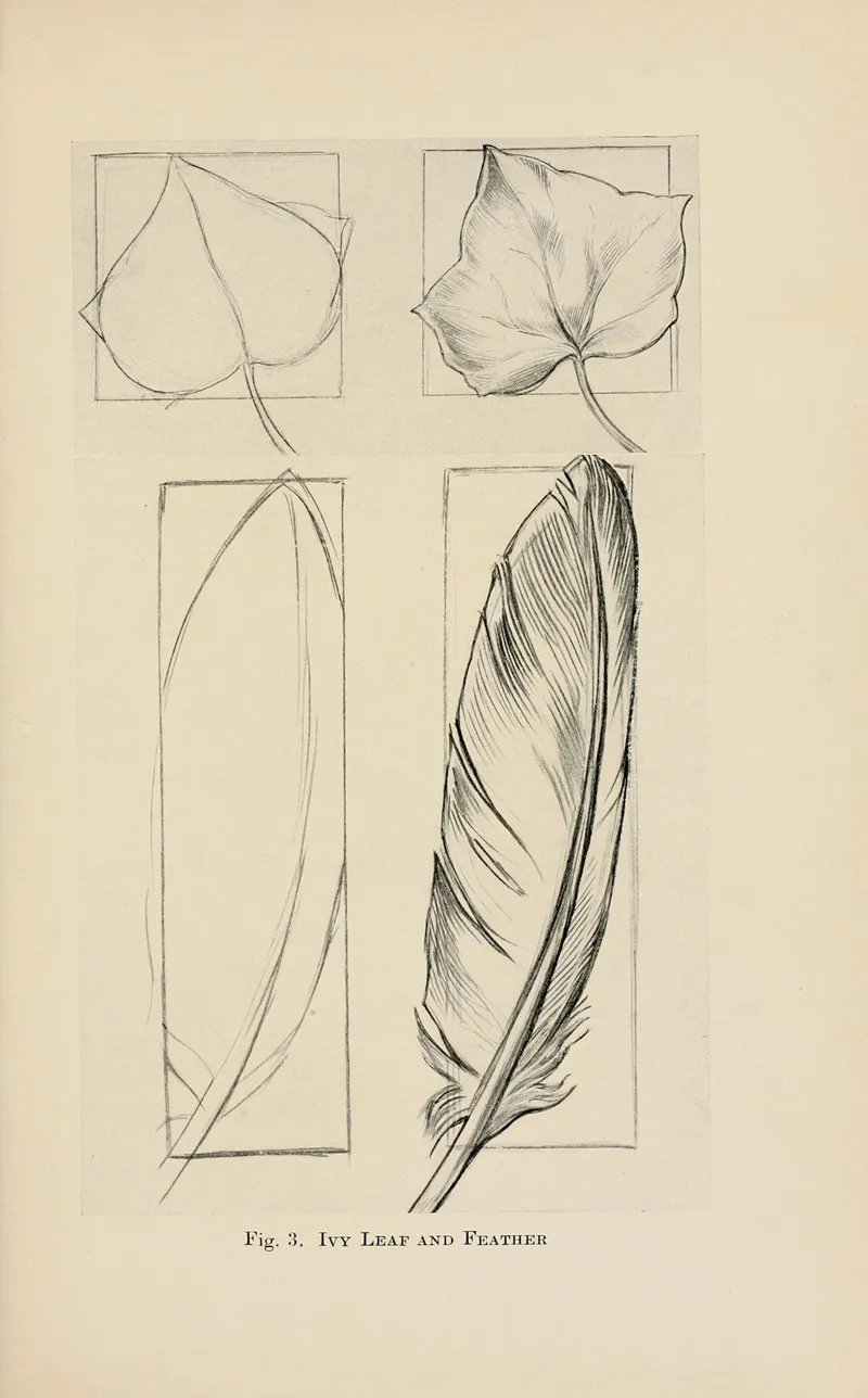 Drawing For Beginners Pl 02 Wall Art by Dorothy Furniss - High-Resolution Digital Print