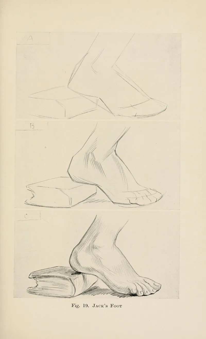 Drawing For Beginners Pl 08 Wall Art by Dorothy Furniss - High-Resolution Digital Print