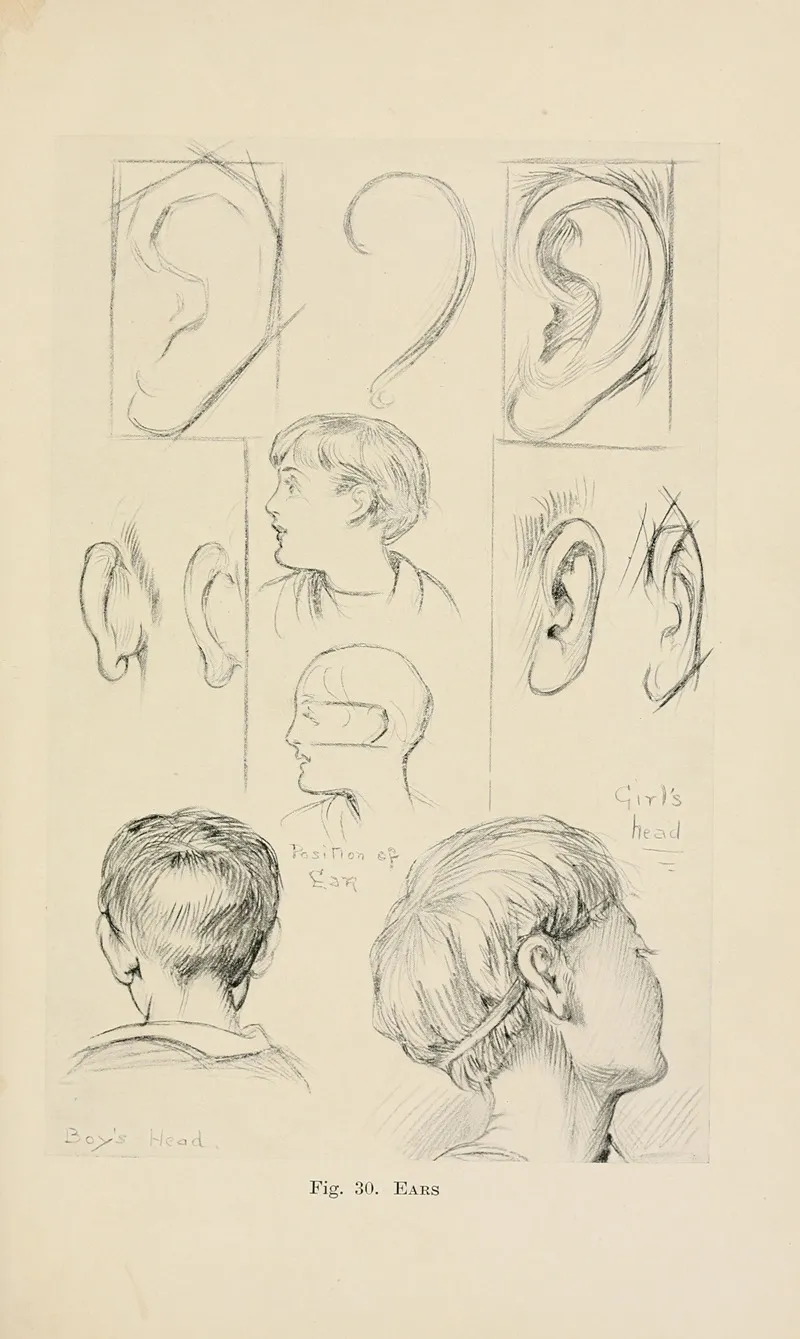 Drawing For Beginners Pl 12 Wall Art by Dorothy Furniss - High-Resolution Digital Print