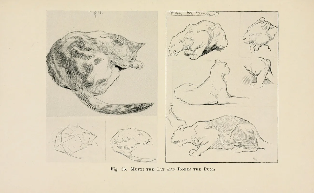 Drawing For Beginners Pl 16 Wall Art by Dorothy Furniss - High-Resolution Digital Print