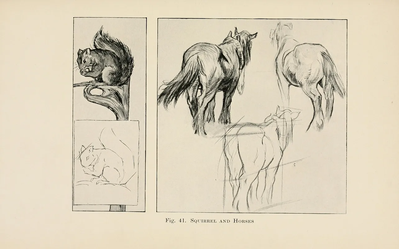 Drawing For Beginners Pl 19 Wall Art by Dorothy Furniss - High-Resolution Digital Print