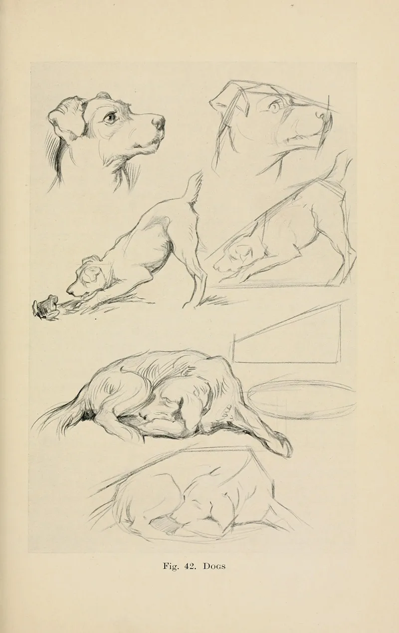 Drawing For Beginners Pl 20 Wall Art by Dorothy Furniss - High-Resolution Digital Print