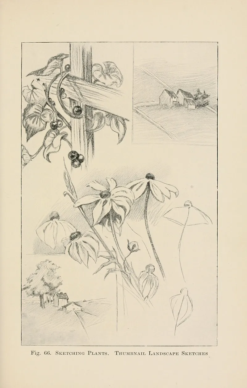Drawing For Beginners Pl 29 Wall Art by Dorothy Furniss - High-Resolution Digital Print