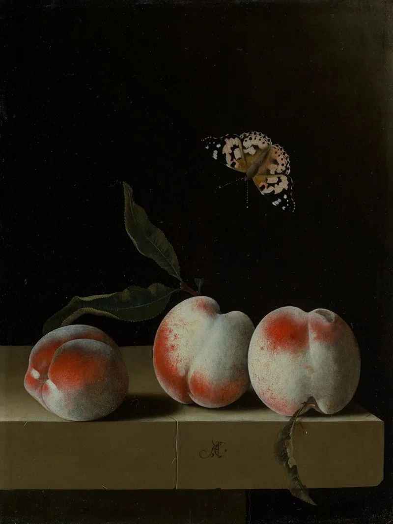 Drei Pfirsiche Auf Einem Steinsims Mit Einem Distelfalter Wall Art by Adriaen Coorte - High-Resolution Digital Print