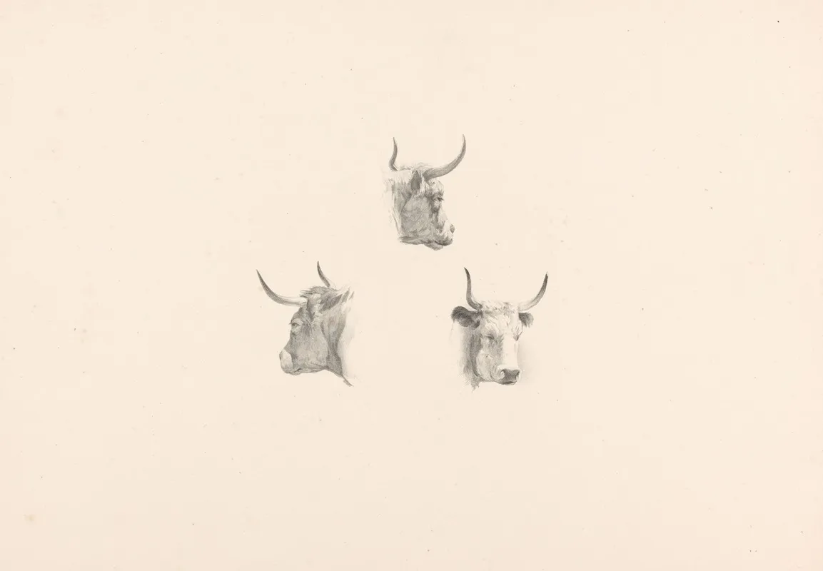 Drie Ossekoppen Wall Art by Roelof van der Meulen - High-Resolution Digital Print