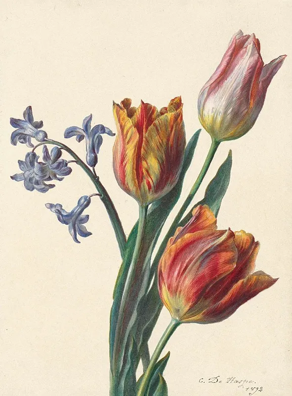 Drie Tulpen En Een Takje Hyacint Wall Art by C. de Haspe - High-Resolution Digital Print