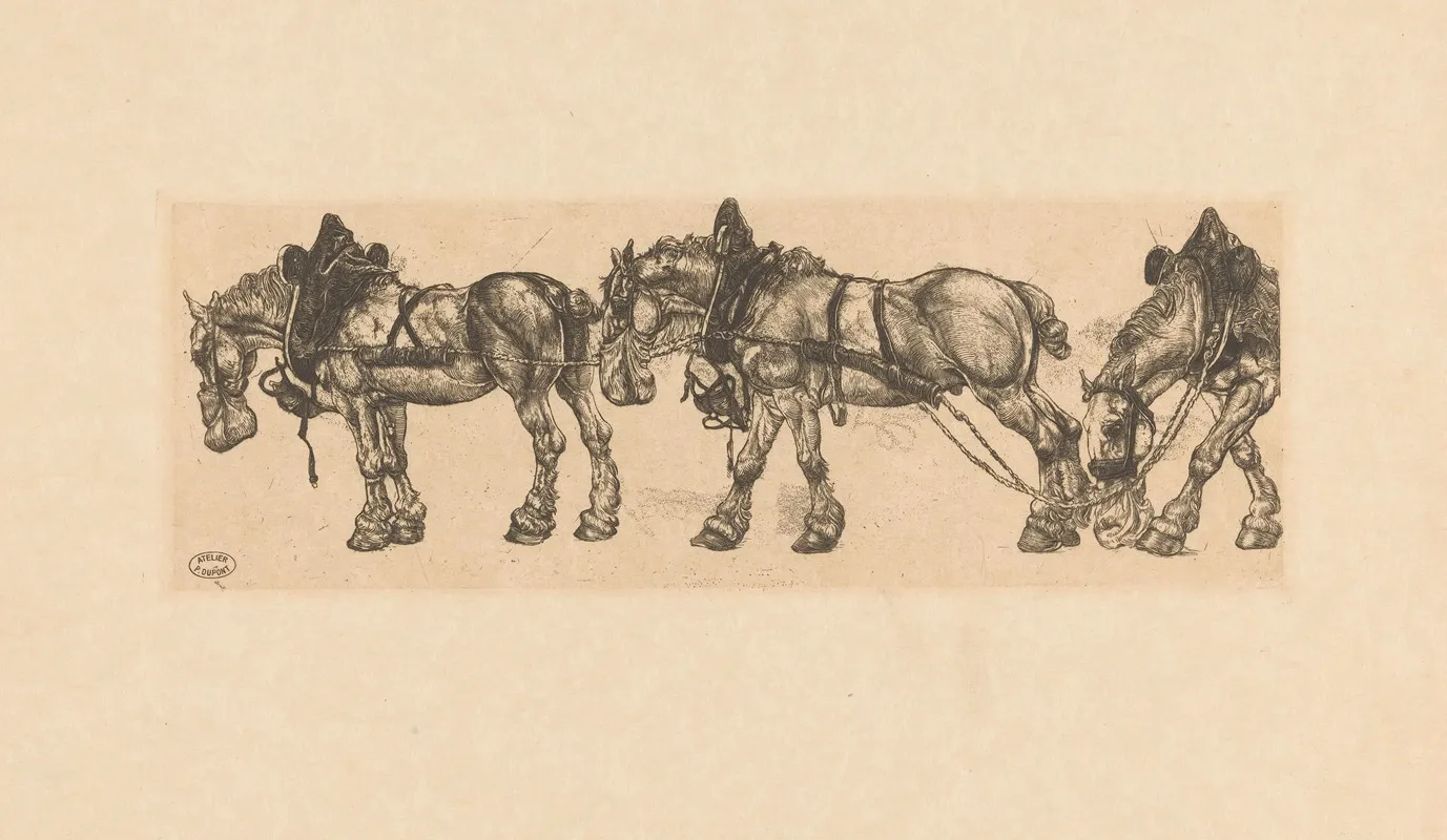 Drie Werkpaarden Met Haverzak