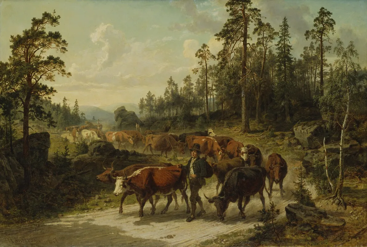 Driving Cattle In Smaland 2
