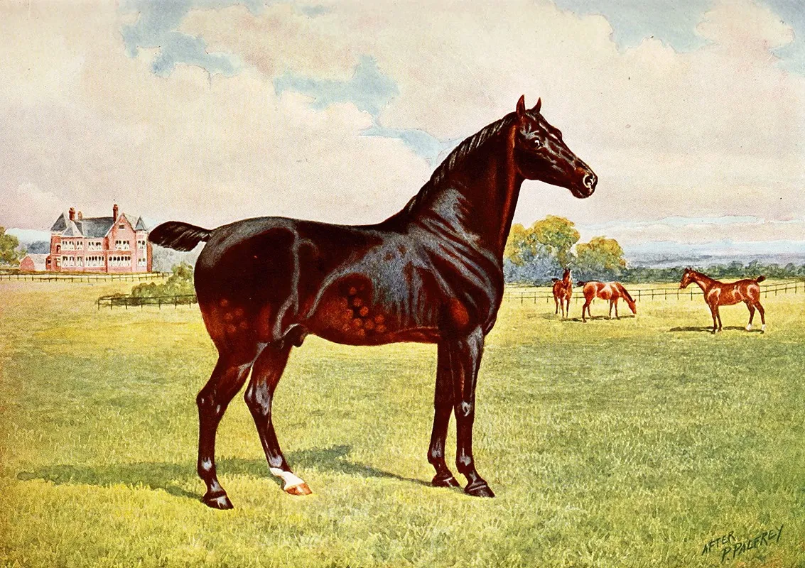 Dual Champion Pony Stallion Berkeley Model Wall Art by After Penry Powell Palfrey - High-Resolution Digital Print